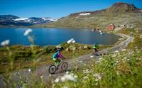 Rallarvegen