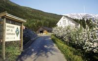 Inngang til Hardanger Saft og Siderfabrikk omgitt av eplehagar i blomst.