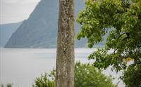 Balsderstein