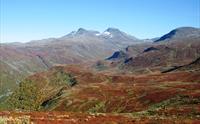 Tindevegen