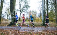 Group of people running in a race surrounded by autumn leaves and trees.