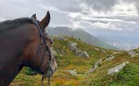 Ridetur i byfjellene med Øvre-Eide gård