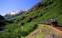 Standard fjord tour from Voss