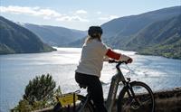 Elsykkeltur over Osterøy med lunsj og RIB-båt til Bergen