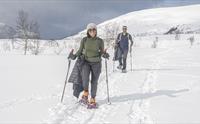 Guidet tur til Trolltunga med Trolltunga Active