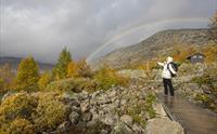 Guidet tur til Trolltunga med Trolltunga Active