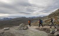 Guidet tur til Trolltunga med Trolltunga Active