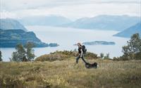 Kvinne og hund på tur i fjellet over Hardangerfjorden.