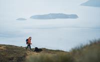 Kvinne og hund på tur i fjellet over Hardangerfjorden.