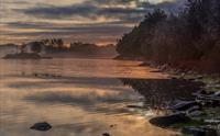 Privat dagstur til Hardanger