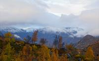 Guidet dagstur til Trolltunga