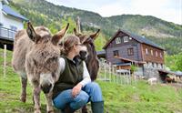Naustvoll Gard - Balestrand