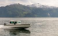 Flesje Gard Fjordcruise