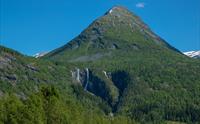 Myrhønna