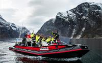 Vinter FjordSafari