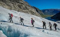 Nigardsbreen