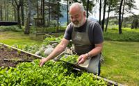 Årøy Gard