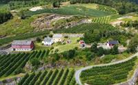 Oversiktsbilde av Jaastad Gjestetun omgitt av grøne frukthagar og frodig natur i Hardanger.