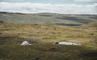 Et glampingtelt tilhørende Dyranut Fjellstova, satt opp rett ved et lite fjellvann.