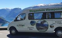 El-Tour, Electric Tours in Flåm