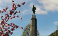 Guidet byvandring i Bergen