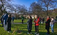Guidet byvandring i Bergen