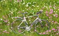 Bike Balestrand