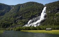 Vidfoss