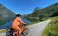 Fjordsplorer Aurland Flåm