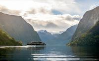 Fjord Cruise Nærøyfjord