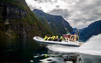 Fjord safari