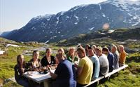 Nørdstedalseter DNT