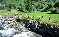 Fjord RIB Adventure + fossevandring