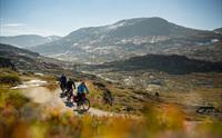 Rallarvegen