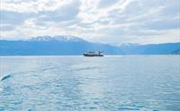 Fjord Cruise Balestrand Glaciertour