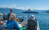 Fjord & Glacier tour - Sognefjord