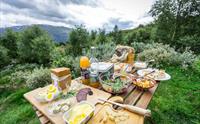 Fjord Weddings & Elopements