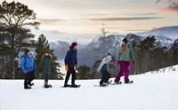 Trugetur ved Stegastein