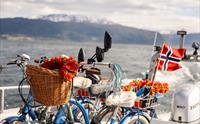 Balestrand Fjord Angling