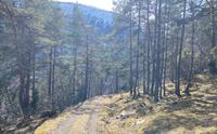 Fjelltur Gjerseggi Luster