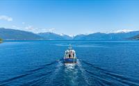Fjord Cruise Vik - Fjærland roundtrip