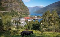 View of Flam from above