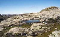 Fjellandskap med eit lite vatn.
