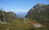 Grønrimb sett frå avstand