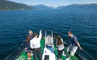 Guided Fjord Cruise - Glaciertour