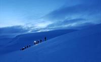 En gruppe mennesker med truger og hodelykter på vei opp til Halnekollen i blåtimen.