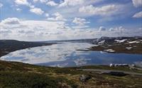 Et oversiktsbilde av Halne Fjellstugu og Halnefjordsjøen.