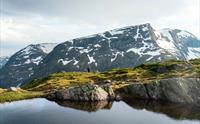 Kvinne sitter og ser utover fjord og fjell.