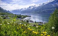 Hardangerfjorden
