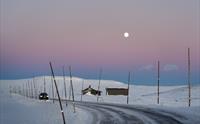 En bil kjører i snølandskapet over Hardangervidda, under en knallrosa himmel under fullmåne.